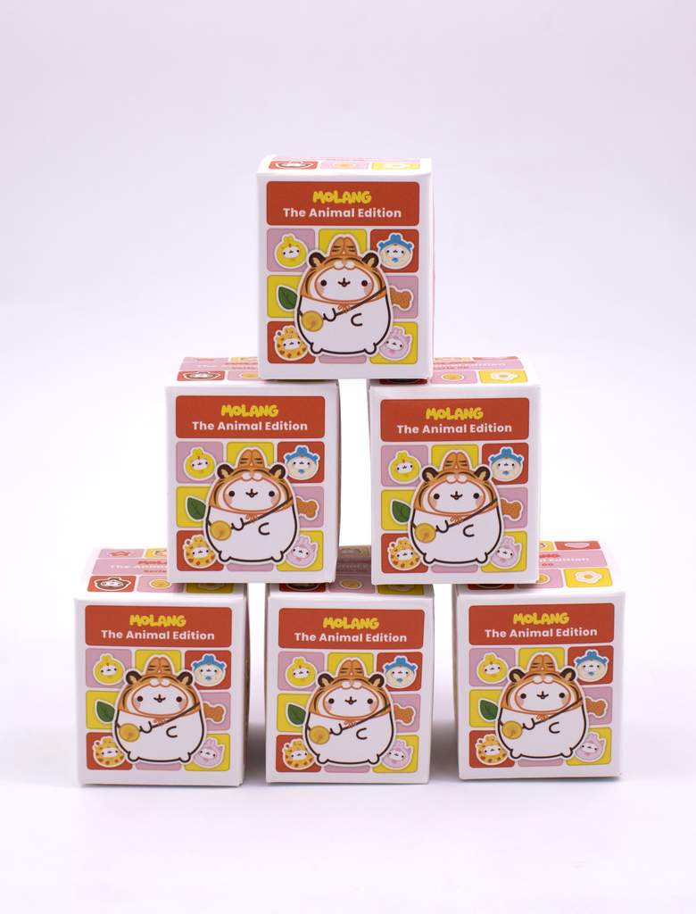 Set Blind Box Molang