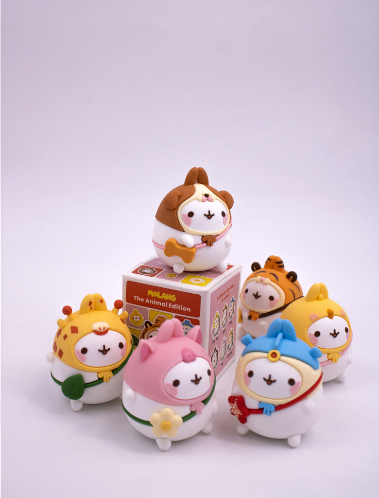 Figurines Blind Box Molang