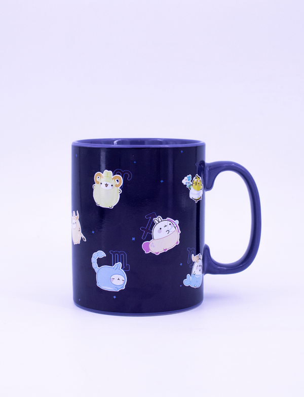 Heat Changing Mug