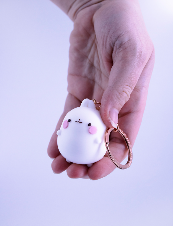 Keychain 3D of Molang
