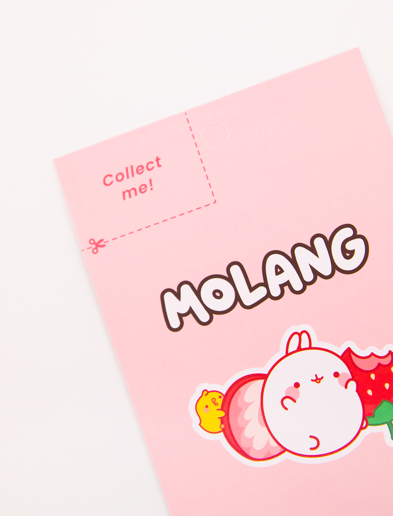 Cute 3D Stickers Board Molang