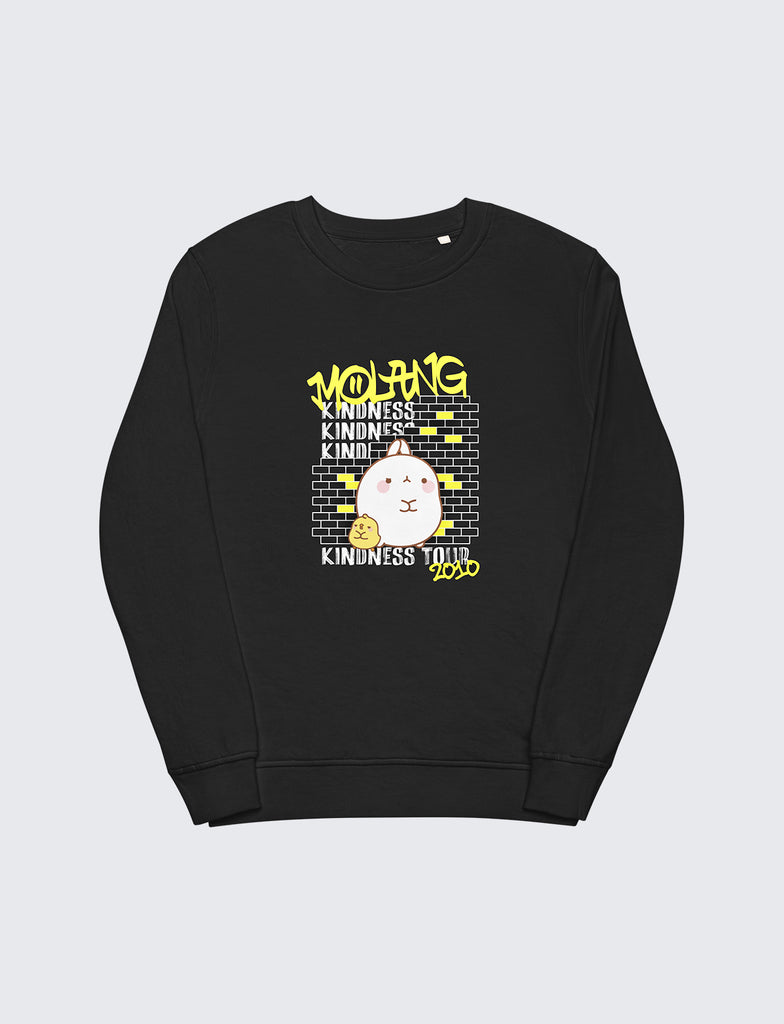 Sweat de rap Molang