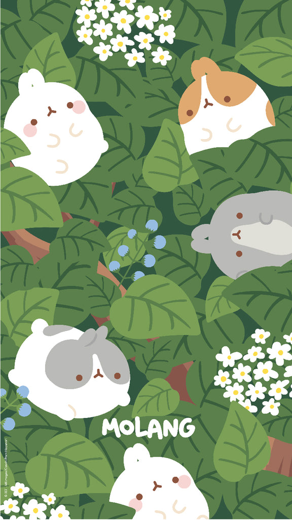Molang Spring Wallpapers: Discover The Plant Wallpaper of Molang