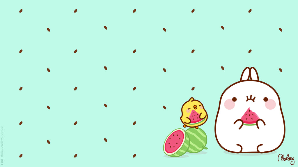 Molang Food Wallpapers: Discover The Watermelon Wallpaper of Molang