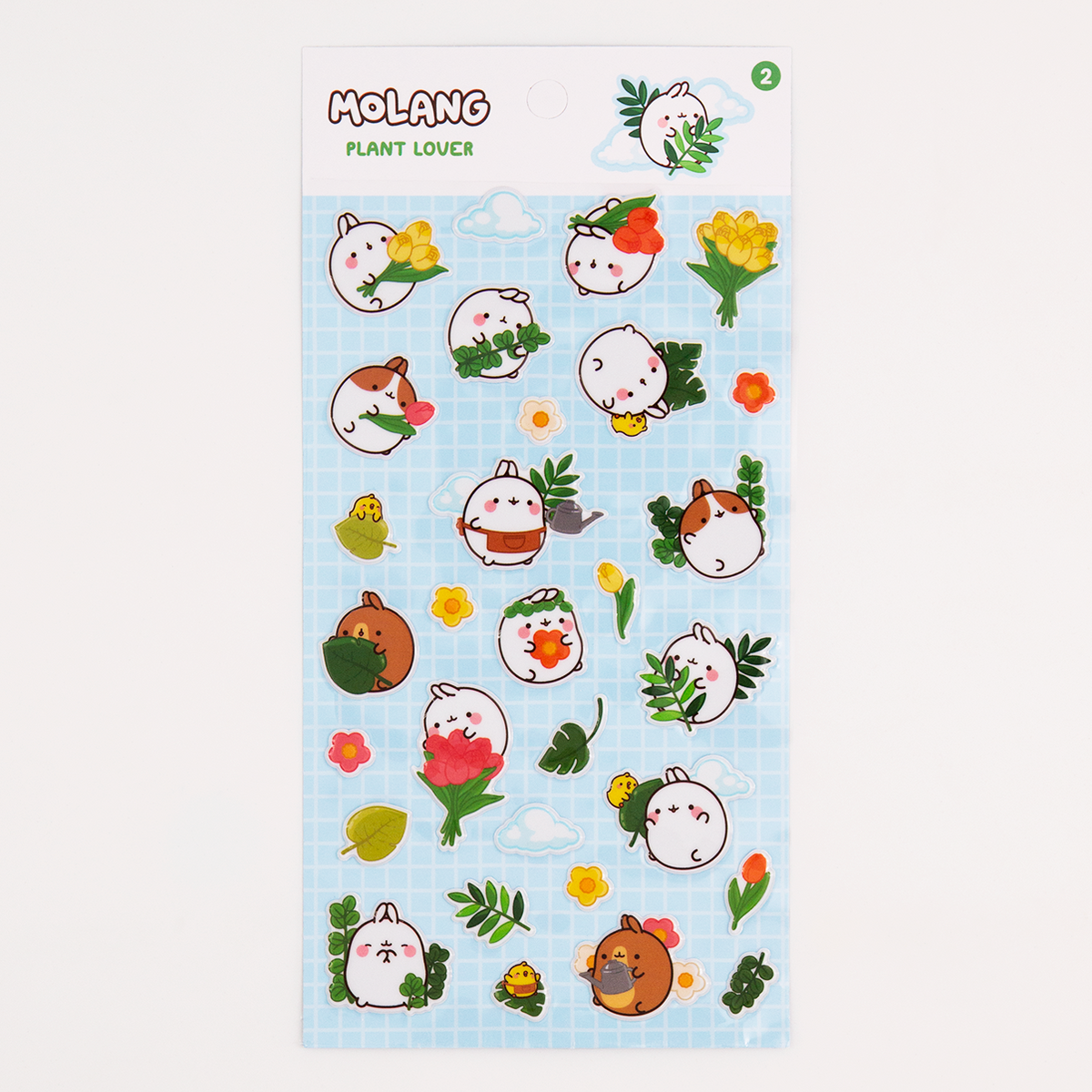 Molang 3D sticker board PLANT LOVER