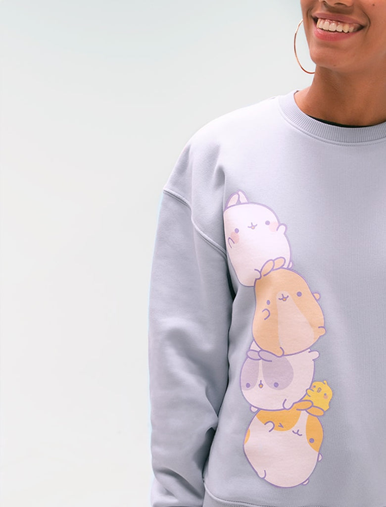 molang and the pincos sweatshirt in blue