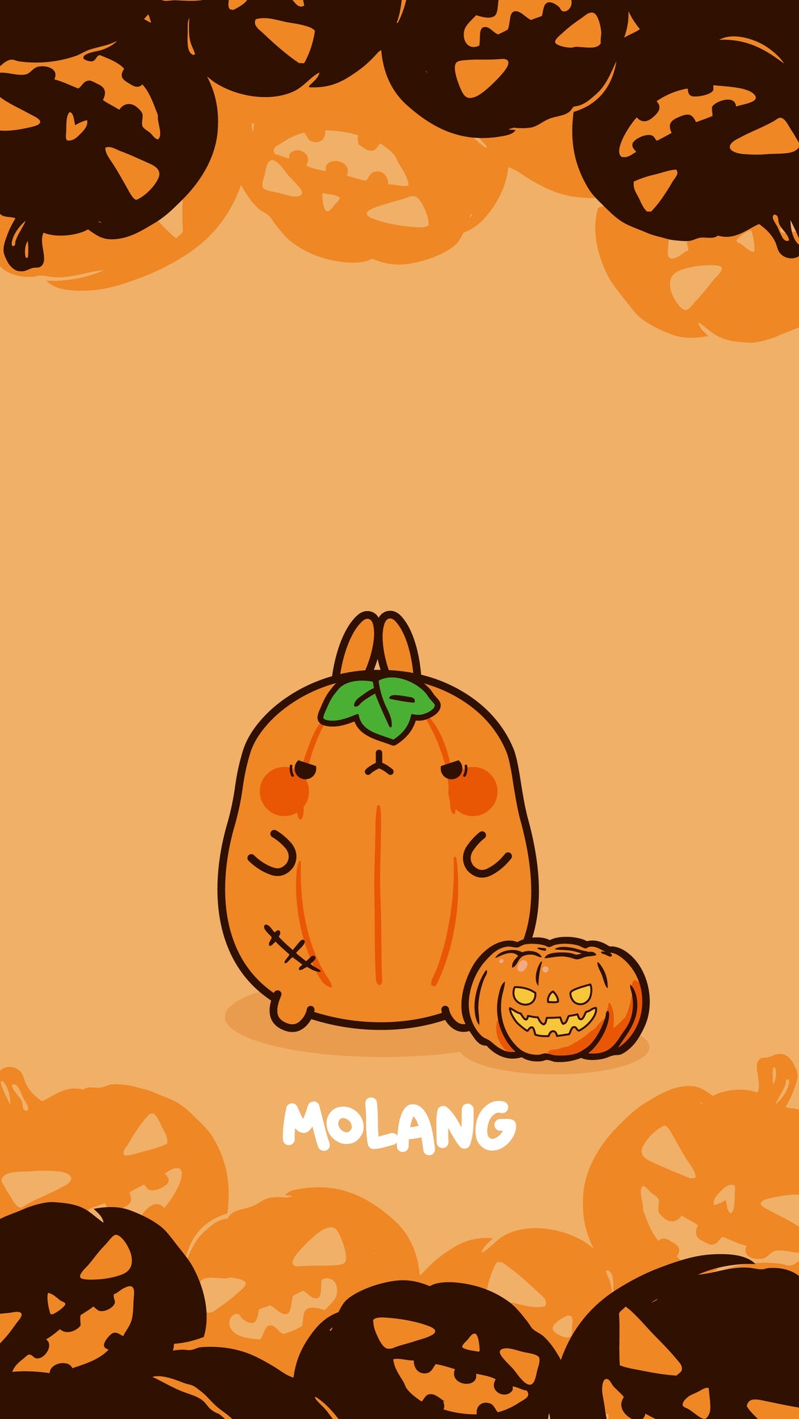 Molang Halloween Wallpapers: Discover The Pumpkin Wallpaper of Molang